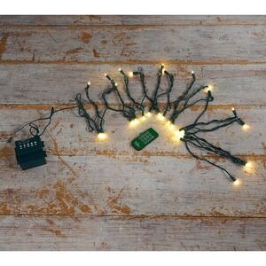 Bethlehem Lights Color Flip Wide Angle Light Strand Green Wire Holiday Decor
